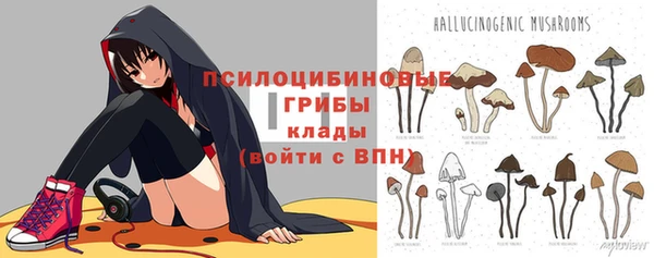 шишки Струнино