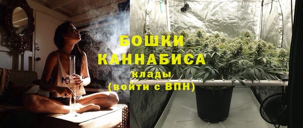 шишки Струнино