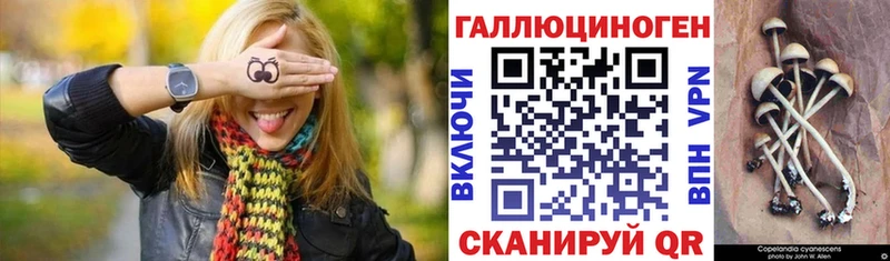 Псилоцибиновые грибы MAGIC MUSHROOMS  KRAKEN онион  Таруса 
